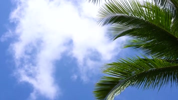 海南岛唯美自然风光