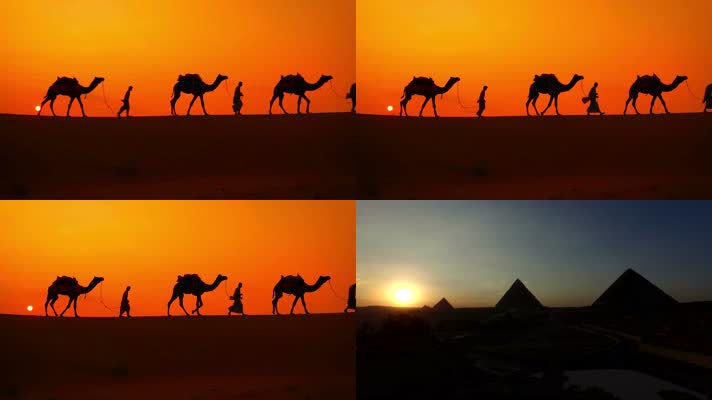 沙漠骆驼金字塔