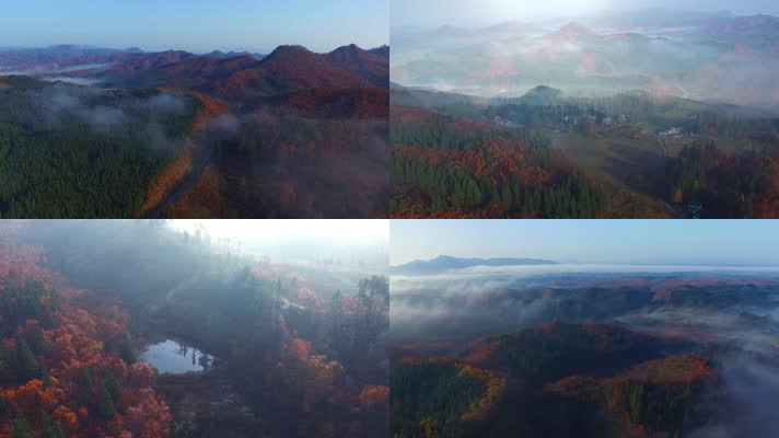 秋天农村晨雾农村生态青山