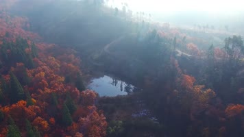 秋天农村晨雾农村生态青山