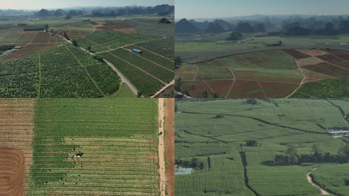 4K航拍隆安博浪村日照群山秋收农田