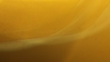 镜头光斑光晕素材25 镜头光斑光晕素材25