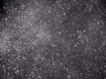 下雪雪花特效合成素材23