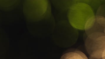 镜头光斑光晕素材08 镜头光斑光晕素材08