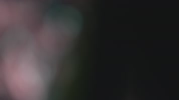 镜头光斑光晕素材28