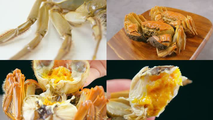 大闸蟹河蟹蟹黄蟹膏河鲜