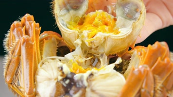 大闸蟹河蟹蟹黄蟹膏河鲜 大闸蟹河蟹蟹黄蟹膏河鲜