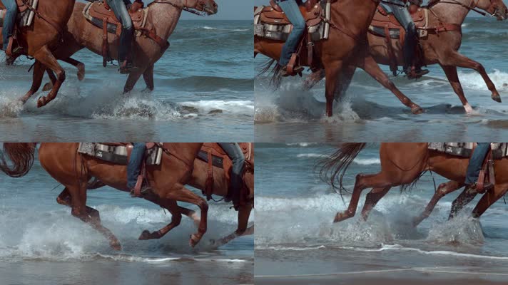 海滩马奔跑