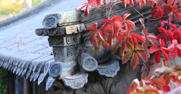 212121212_1_10红叶秋季阳光古建唯美秋季古建红叶秋色风光阳光