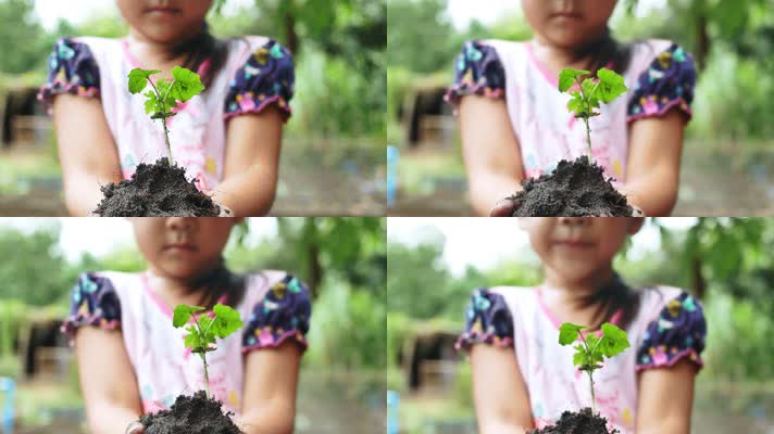 4k高清视频儿童手捧植物幼苗希望