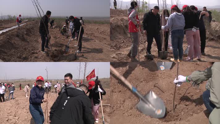 党员青年义务植树党旗飘飘