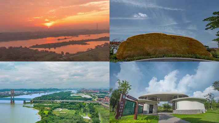 佛山南海金沙岛湿地延时