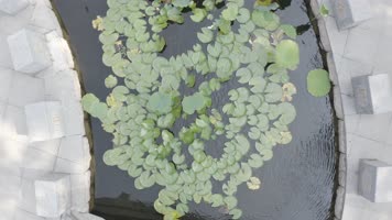 临沂书法广场航拍