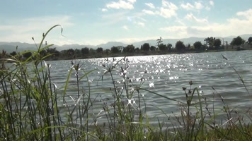 波光粼粼的水平面在阳光下闪光