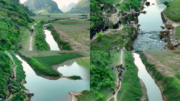 4K航拍广西更望湖群山湖水草原