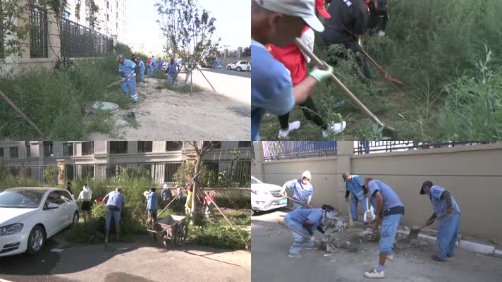 环卫志愿者清理小区围墙外杂草垃圾