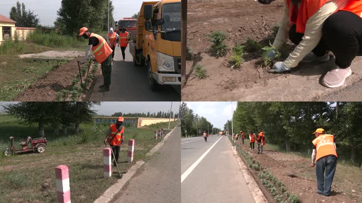 公路养护部门道班人员在公路边栽花养护路基