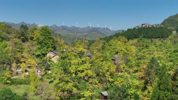 4K航拍妥乐银杏村秋季美景