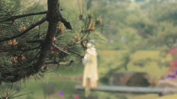 古风 汉服 古装美女 古代女人 汉元素