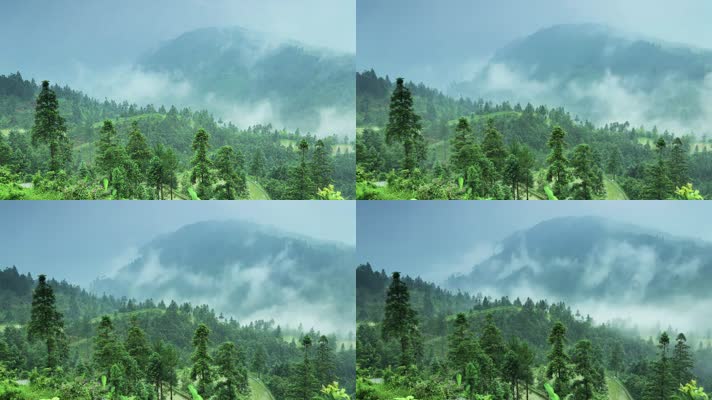 云雾缭绕的山峰