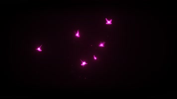 紫色发光的蝴蝶-8