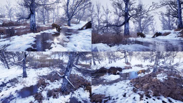 森林雪景和鹿