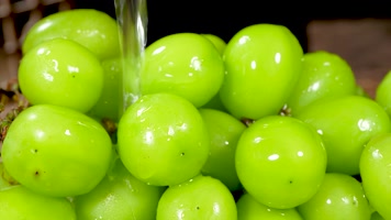 新鲜阳光玫瑰青提