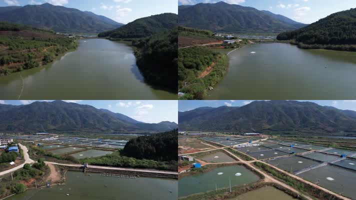 渔场 养殖鱼 生态鱼养殖基地