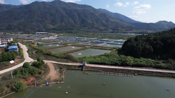 渔场 养殖鱼 生态鱼养殖基地