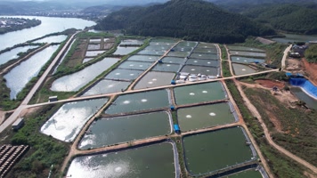 渔场 养殖鱼 生态鱼养殖基地