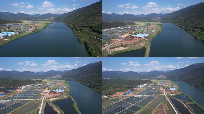 渔场 养殖鱼 生态鱼养殖基地