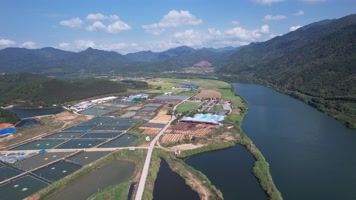 渔场 养殖鱼 生态鱼养殖基地