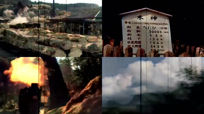 台湾运输木材历史影像视频