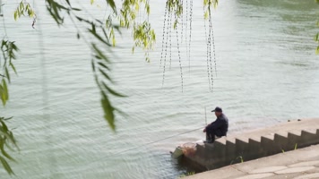 钓鱼的人 河边垂钓 柳树下 一个老人悠闲