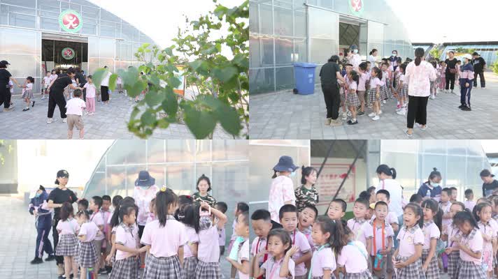 小学生农业研学在大棚外排队集合