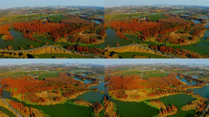 郊野公园_V1-0054航拍秋季红色水上森林