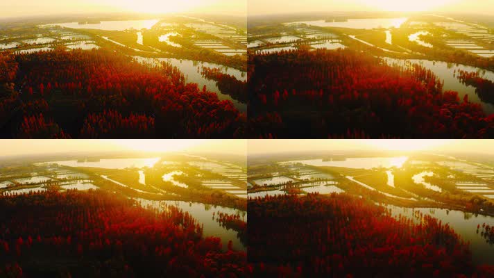 郊野公园_V1-0075航拍秋季红色水上森林