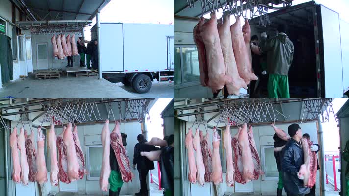 新宰杀猪肉装车运半扇猪肉运输