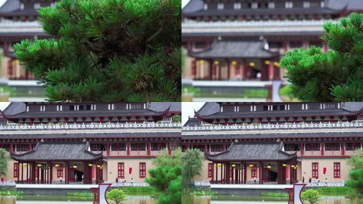 景德镇地面_V1-0193景德镇皇窑