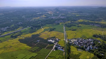 4K延时航拍南宁上林秋天丰收景色