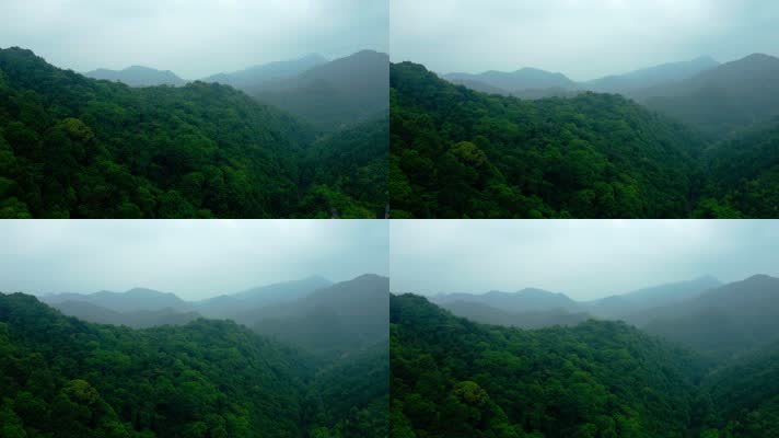 景德镇_V1-0066绿色自然