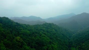 景德镇_V1-0066绿色自然