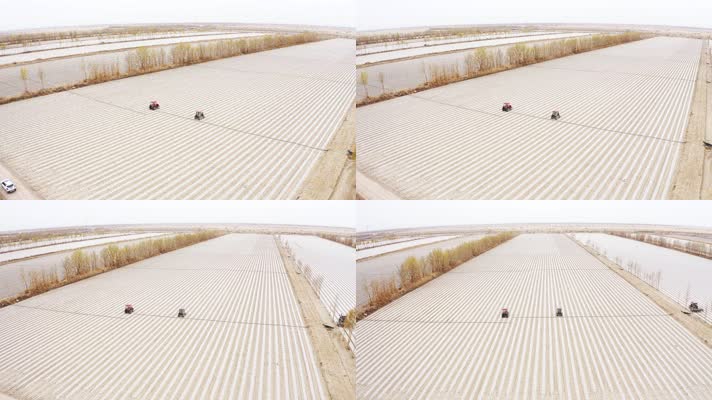 棉花播种_V1-0002新疆库尔勒棉花播种