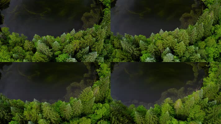 长白山_V1-0151原始密林中的圆形湖泊