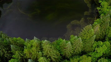 长白山_V1-0151原始密林中的圆形湖泊