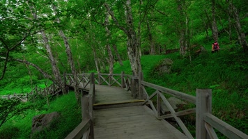 C0045长白山上的木质栈道
