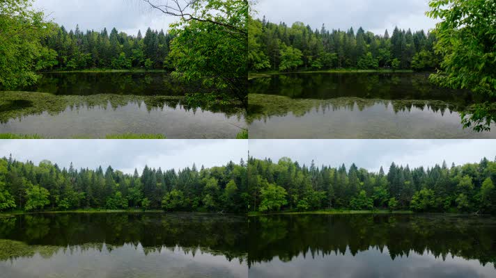 长白山_V1-0138原始密林中的圆形湖泊