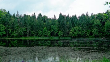 C0143原始密林中的圆形湖泊