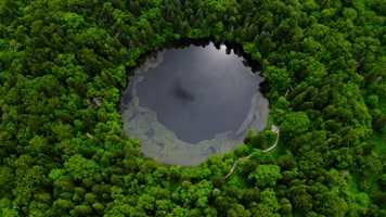 长白山_V1-0141原始密林中的圆形湖泊