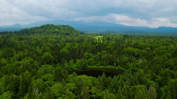 长白山_V1-0149原始密林中的圆形湖泊